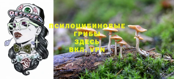 кокс Семилуки