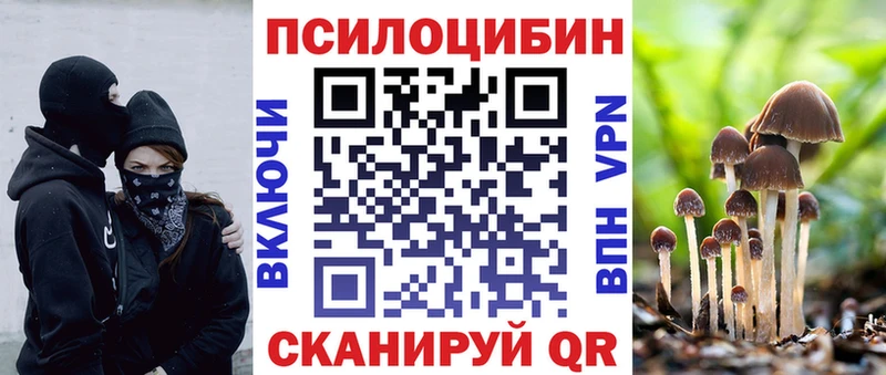 Псилоцибиновые грибы мицелий  Городище 